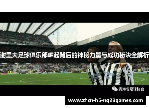 谢里夫足球俱乐部崛起背后的神秘力量与成功秘诀全解析 谢里夫足球俱乐部崛起背后的神秘力量与成功秘诀全解析