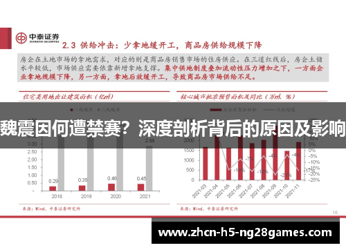 魏震因何遭禁赛？深度剖析背后的原因及影响