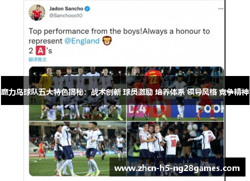 魔力鸟球队五大特色揭秘：战术创新 球员激励 培养体系 领导风格 竞争精神