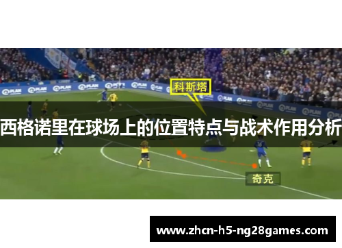 西格诺里在球场上的位置特点与战术作用分析