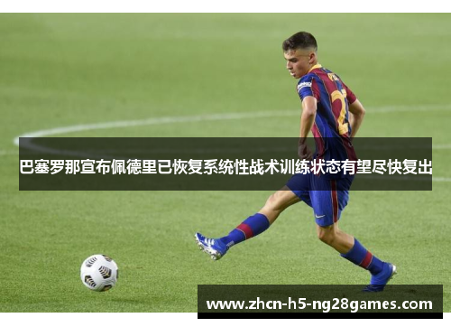 巴塞罗那宣布佩德里已恢复系统性战术训练状态有望尽快复出